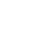 聚聚